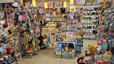 Do wynajęcia lokal witryna parter duży ciąg pieszy - 2