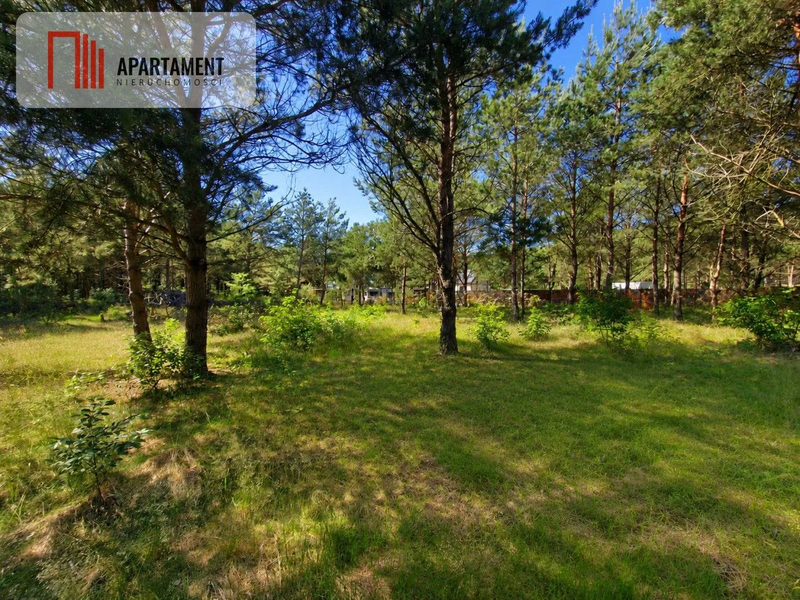 Działka 1139 m² | Kameralny zagajnik!! - dd_18eeaa1f_zs_769789_1.jpg