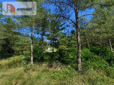 Działka 1139 m² | Kameralny zagajnik!! - 3