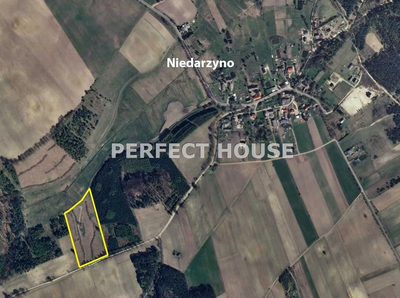 Niedarzyno ziemia dla inwestora - 3