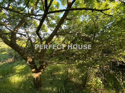 Działka w drugiej lini zabudowy! Pokrzywno* - 5