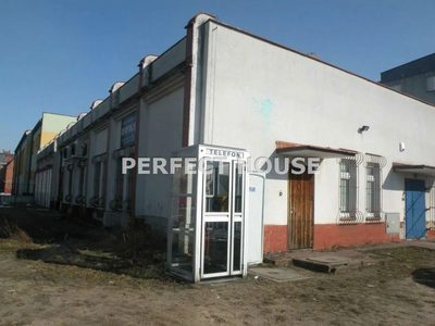 budynek pod biura/przedszkole/gabinety/fitness - 5