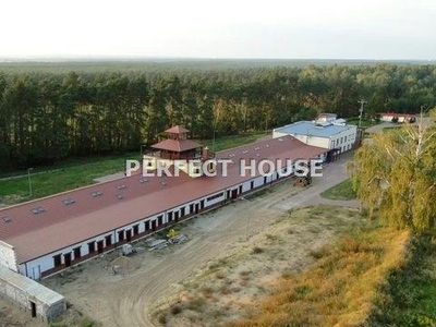 Funcjonujący obiekt hotelowy w Puszczy Noteckiej - 5