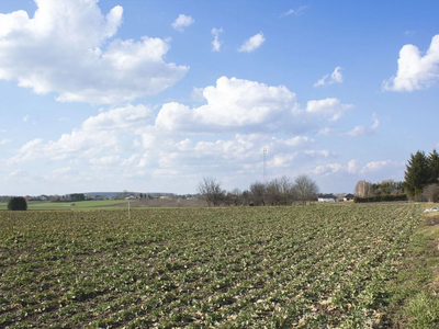 Blat do kuchni ogarniesz za płotem-818 m² pod dom - 2