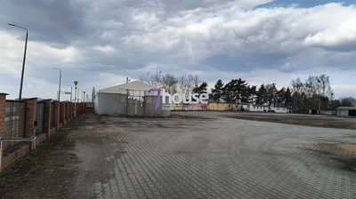 Utwardzony teren Hale 12 168m2