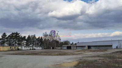 Utwardzony teren Hale 12 168m2 - 4