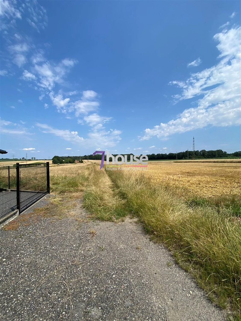 DZIAŁKA - WIESZOWA - GMINA ZBROSŁAWICE! - dd_9cd9742a_zs_7HO-GS-25231_1.jpg