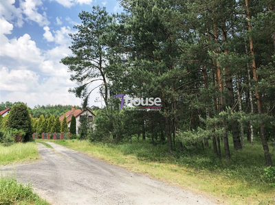 Cicha, Spokojna Okolica przy Lesie! Boruszowice!