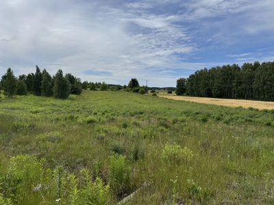 DZIAŁKA ROLNA NR 112/11 O POWIERZCHNI 7 256 m² – N