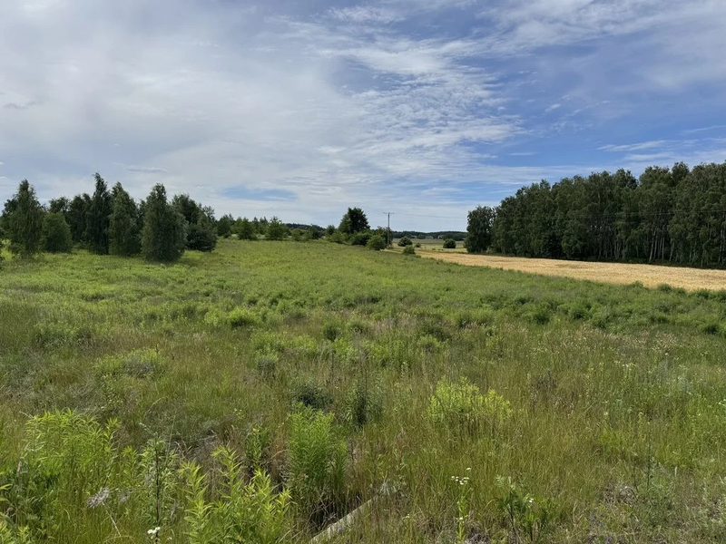 DZIAŁKA ROLNA NR 112/11 O POWIERZCHNI 7 256 m² – N - 113444125.jpg