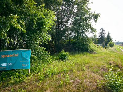 Siała baba mak, a Ty postaw tu dom! 1636m² - 4