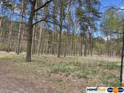 Działka bud. 1371 m² przy lesie, zielona okolica. - 4