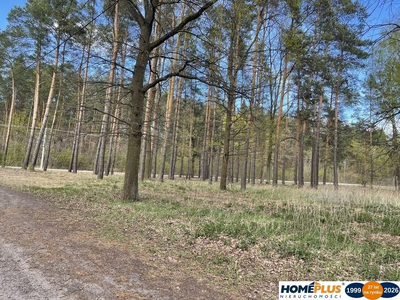 Działka bud. 1371 m² przy lesie, zielona okolica. - 5