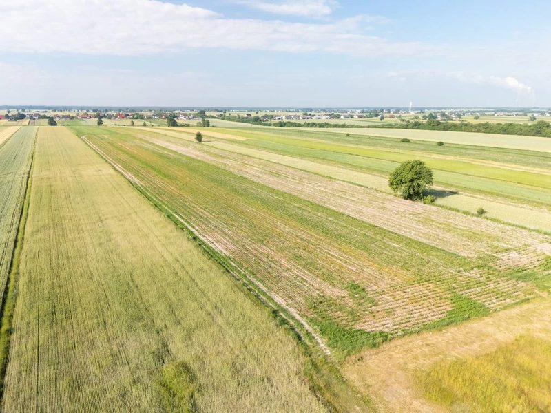 Ul. Moryca – działki z WZ od 97,88 zł/m² - 113424460.jpg