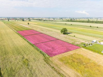 Ul. Moryca – działki z WZ od 97,88 zł/m² - 2