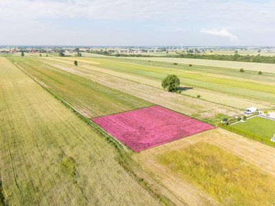 Ul. Moryca – działki z WZ od 97,88 zł/m² - 3