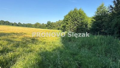 Działka siedliskowa 37a możliwość zabudowy