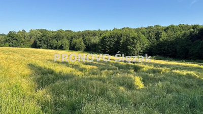 Działka siedliskowa 37a możliwość zabudowy - 2