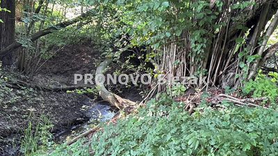 Działka siedliskowa 37a możliwość zabudowy - 4