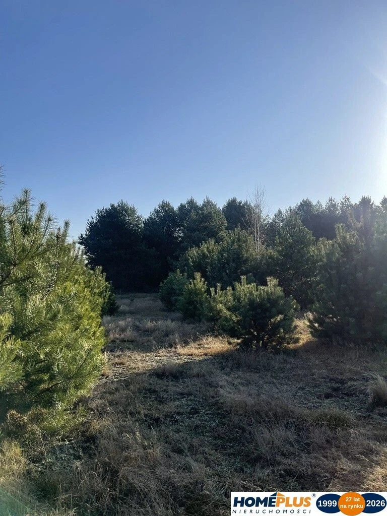 Idealne miejsce na dom,6241 m² blisko lasu i rzeki - 113528575.jpg