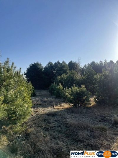 Działka o pow.6883 m² w zielonej okolicy. - 2