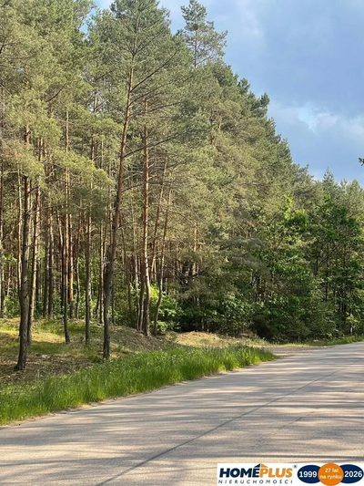 Idealne miejsce na dom,6241 m² blisko lasu i rzeki - 4