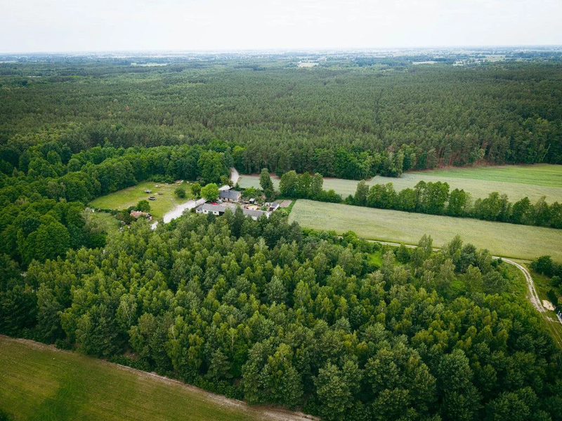 Działki budowlane w Kwilnie – spokój i natura - 113544613.jpg