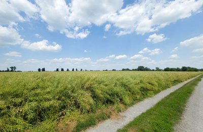 Działka inwestycyjna 1,17 ha Przeworsk MPZP