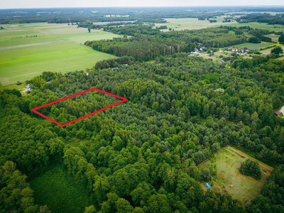 Działka 3960 m2 pod budowę domu z własnym lasem! - 3