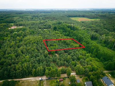 Działka 3960 m2 pod budowę domu z własnym lasem! - 4