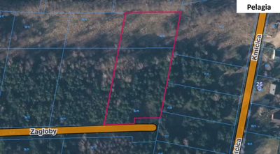 Działka 3960 m2 pod budowę domu z własnym lasem! - 5