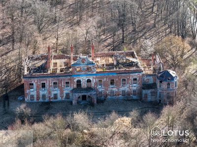 Historyczny pałac z potencjałem inwestycyjnym