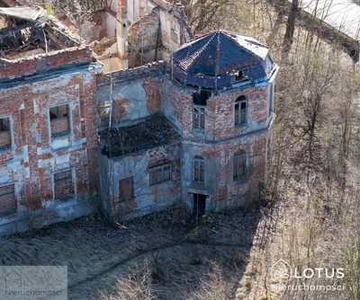 Historyczny pałac z potencjałem inwestycyjnym - 5