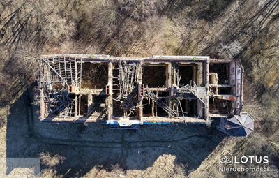 Historyczny pałac z potencjałem inwestycyjnym - 2