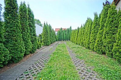Przedstawiam ofertę sprzedaży domu w poszukiwanej lokalizacji:  Katowice - Ochojec okolice ul. Prusa. - 5