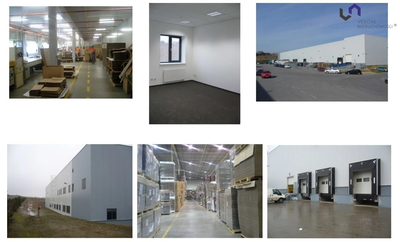 Czeladź. Hala magazynowa/produkcyjna. - 5