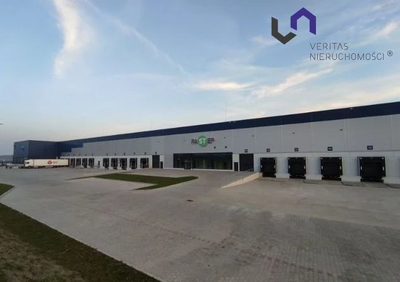 Przedstawiam ofertę podnajęcia powierzchni 6 000 m2 lub jej części magazynu klasy A będącego własnością firmy Panattoni Europe. - 3