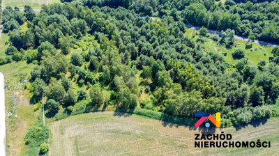 PREZENTUJEMY NA SPRZEDAŻ DZIAŁKĘ NR 31/4 O POWIERZCHNI 37 400 mkw USYTUOWANĄ W SĘKOWICACH W POWIECIE KROŚNIEŃSKIM. - 4