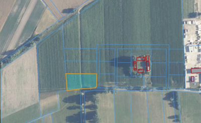 Skotniki: Piękne 2417m² w ciszy, blisko Łodzi - 2