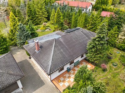 dom parterowy na działce 2115 m2 przy lesie - 4