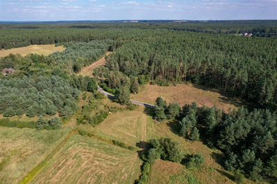 Bezpośrednio przy drodze|pośród rozległych terenów - 3