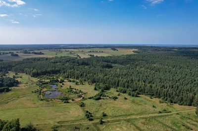 Działki w otoczeniu natury - spokój, cisza - 5