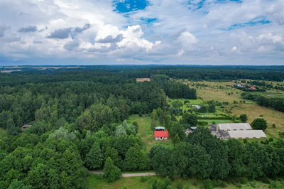 Działki koło Siemianic|pośród lasu|spokój i cisza - 3