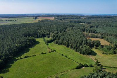Działki w otulinie lasu i bliskości przyrody - 2