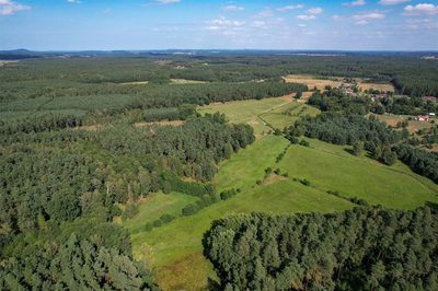 Działki w otulinie lasu i bliskości przyrody - 4