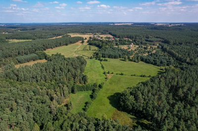 Działki w otulinie lasu i bliskości przyrody - 5