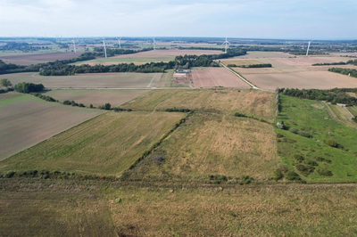 Duninówko - działki rolne - 4