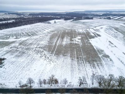 działki w Dębinie przy drodze| łączna pow. 5114 m2 - 5