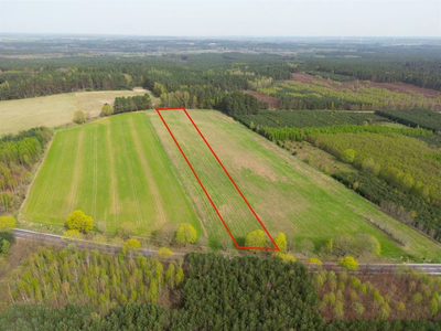 działka rolna o pow. 11300 m2 oraz dwie mniejsze! - 2
