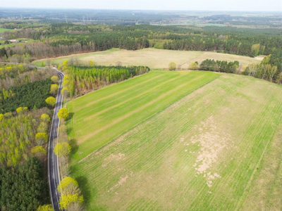 działka rolna o pow. 11300 m2 oraz dwie mniejsze! - 3